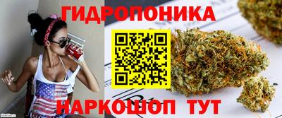 бошки Ливны